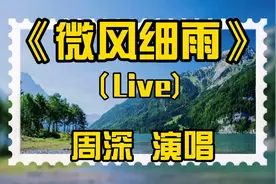 周深翻唱《微风细雨》柔美深情，声线迷人，醉了！