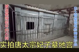 探访陕西韦贵妃墓，二婚带女再嫁李世民，凭什么获得皇帝宠爱多年视频封面