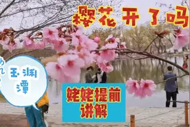 北京玉渊潭公园樱花品种有多少？怎样观赏稀有樱花？听姥姥讲吧视频封面