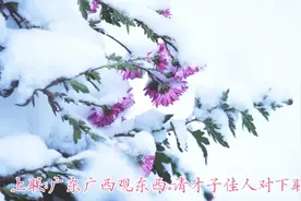 对出下联算你牛上联:广东广西观东西。请才子佳人对下联？视频封面