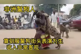 非洲鬣狗人，靠驯服鬣狗街头卖艺为生，2个小时表演能挣一百多视频封面