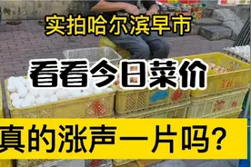 实拍今日哈尔滨南岗区早市，真的像网友说的已涨声一片吗？视频封面
