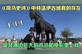 《荷马史诗》中特洛伊竟然真的存在，巨大的木马，和电影里一样！
