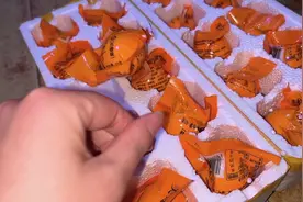 南京小吃活珠子毛蛋，儿子吵着要吃，专家为什么说不能吃有点担心视频封面