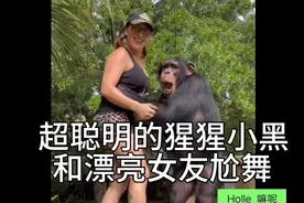 《猿人崛起》男主猩猩和漂亮女友，爱吃芒果爱尬舞，羡慕了！视频封面