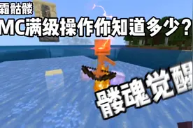 我的世界：MC满级操作，你知道多少？视频封面