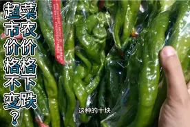 寿光大棚离城市20里路，菜农价格全面下跌，超市的菜价纹丝不动？视频封面