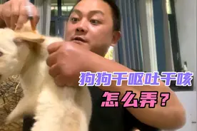 狗狗干呕吐 感觉喉咙卡异物老是咳不出？看我操作狗的前后变化视频封面