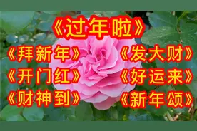 新年祝福歌《过年啦》《拜新年》《开门红》《财神到》《发大财》