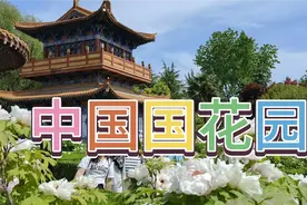 五个广东姐妹到国内最大牡丹专类观赏园，中国国花园，流连忘返。视频封面