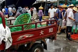 海南近海渔业资源枯竭：所谓的海鲜市场上卖的都是人工养殖的!