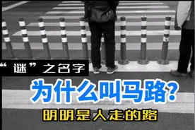 明明是人走的路，为什么要叫马路呢？视频封面