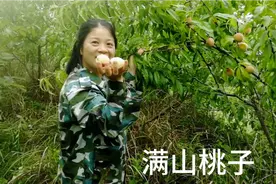 小韦和朋友去摘桃子，6月是桃子成熟的季节大家有说有笑收获满满视频封面