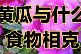 黄瓜不能与什么食物一起吃，你知道吗，我来告诉你视频封面