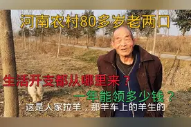 河南农村88岁老人，一年竟然能领这么多钱？生活开支就有3处来源视频封面