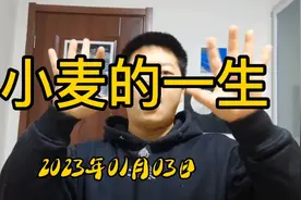 小麦度过了这五大时期，也就走完了它的一生。视频封面