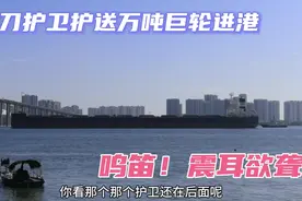 几百米长巨轮进入湛江内港，带刀护卫紧跟随后，鸣笛！震耳欲聋！视频封面