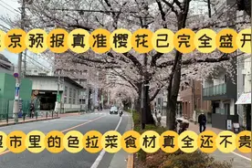 东京预报真准，樱花全盛开了。去超市选食材晚餐用色拉菜全还不贵视频封面