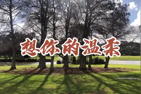 一首《想你的温柔》曲调优美动听，让人陶醉。