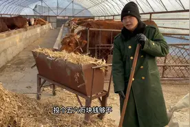 东北边境农村，在哥们家干了三碗饭，之后帮哥们干了一下午活！视频封面