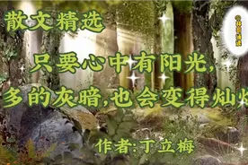 好物分享|丁立梅散文 只要心中有阳光再多的灰暗也会变得灿烂视频封面