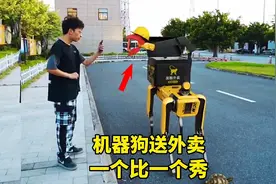 机器狗送外卖，一个比一个秀！视频封面