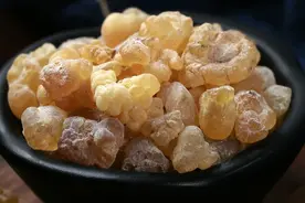 中药材：乳香，野生冷背