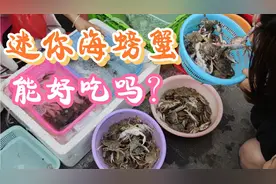 海边集市上的野生小螃蟹15元两大盘，这么小的螃蟹能好吃吗视频封面