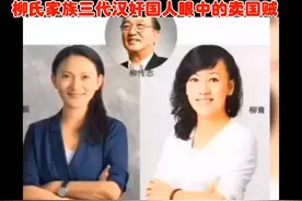 再揭柳氏家族“满门忠烈"的嘴脸！视频封面