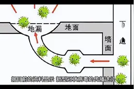 新冠病毒在体外可以存活多久？答案令人意外视频封面