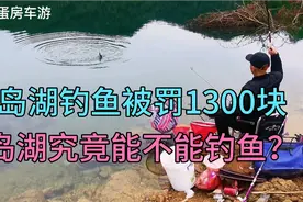 千岛湖钓鱼被罚1300块！千岛湖究竟能不能钓鱼？不注意就要挨罚！视频封面