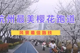 杭州钱塘江边有一条浪漫樱花大道，它成了杭州热门的网红打卡地视频封面