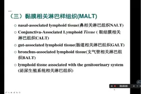 粘膜相关淋巴组织（MALT）视频封面