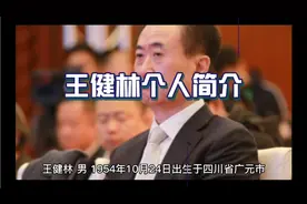 王健林个人简介视频封面