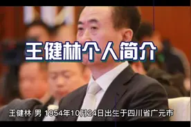 王健林个人简介视频封面