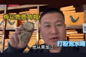 给黑龙江粉丝打鹿角帽粉，回家用水直接送服，效果特别好