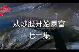 从炒股开始暴富（七十集）视频封面