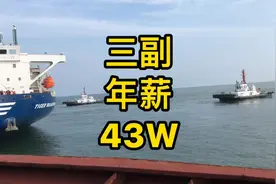 最真实的船员生活，特大好消息船上三副的工资暴涨一年狂赚43W视频封面