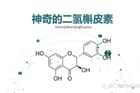 神奇的二氢槲皮素，三大颠覆！视频封面