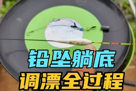铅坠躺底，这样调，恰到好处的铅坠重量，配上超短子线，野钓无敌视频封面