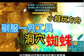 方舟生存进化手游驯工具龙洞穴蜘蛛314级虽然战力一般但作用很大视频封面