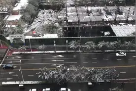 首场雪后 石家庄蔬菜供应充足价格平稳图片