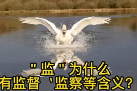 ＂监＂为什么有监督、监察等含义？原来与照镜子有关。视频封面