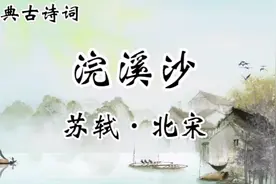经典古诗词诵读《浣溪沙》苏轼：谁道人生无再少，门前流水尚能西