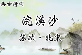 经典古诗词诵读《浣溪沙》苏轼：谁道人生无再少，门前流水尚能西