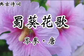 经典古诗词诵读《蜀葵花歌》人生不得长少年，莫惜床头酤酒钱！视频封面
