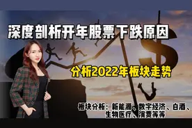 深度剖析年度股票下跌是为何？超级干货，新能源等板块2022年分析视频封面