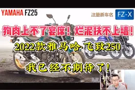 2022款【雅马哈·飞致250】狗肉上不了宴席！烂泥扶不上墙！哎…视频封面
