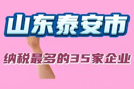 山东泰安市纳税最多的35家企业视频封面
