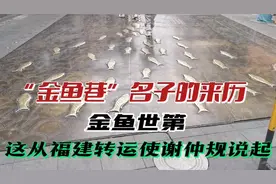 “金鱼巷”名子的来历，金鱼世第，这从福建转运使谢仲规说起视频封面